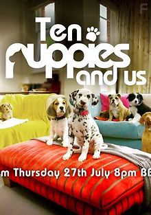 10 щенков и все остальные