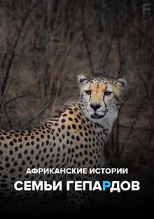 Африканские истории семьи гепардов