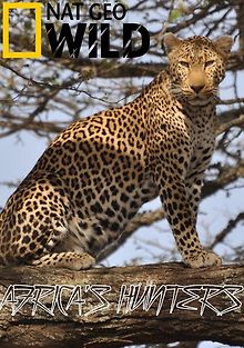 Африканские охотники