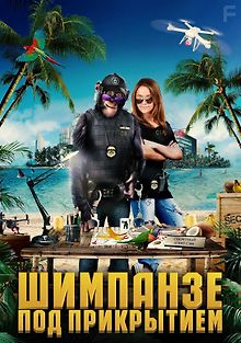 Шимпанзе под прикрытием