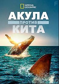 Акула против кита