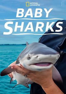 Акулье детство