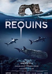 Акулы. Признание в любви