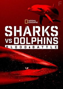 Акулы против дельфинов. Кровавая битва