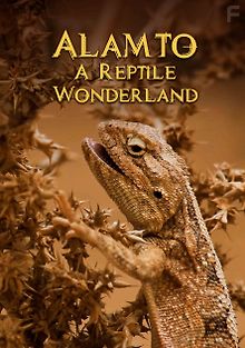 Аламто - страна рептилий