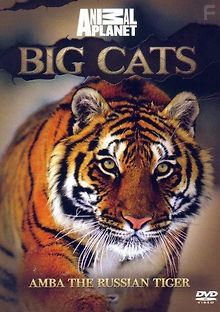 Амба. Русский Тигр