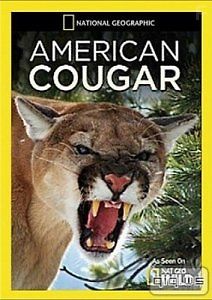 Американская пума