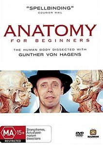 Анатомия для начинающих. Пищеварение