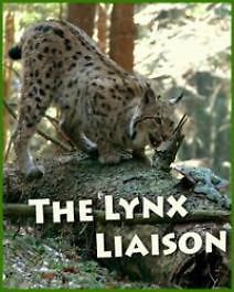 Animal Planet. Рысья жизнь