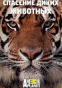 Animal Planet. Спасение диких животных