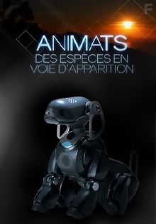 Аниматы - новая форма жизни