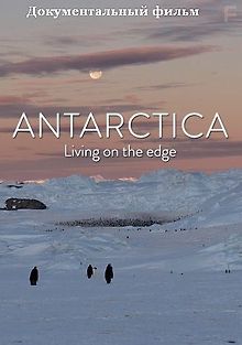 Антарктика. Живущие на грани