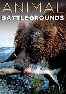 Арены Звериных Сражений