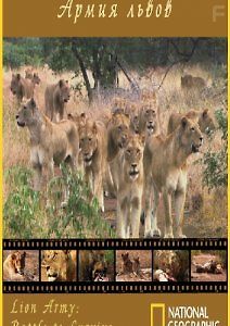 Армия львов