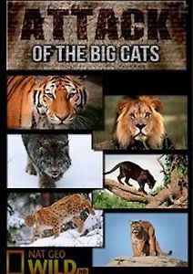 Атака больших кошек