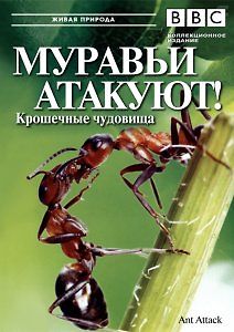 Атака муравьев