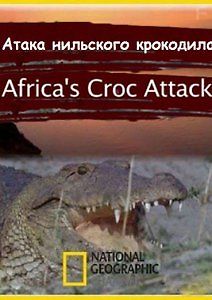 Атака нильского крокодила