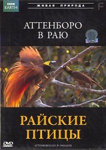 Аттенборо в раю: Райские птицы