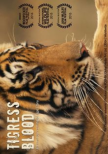 Банда тигриц