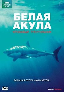 BBC: Белая акула. Кровавый треугольник