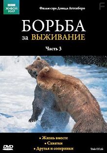BBC: Борьба за выживание