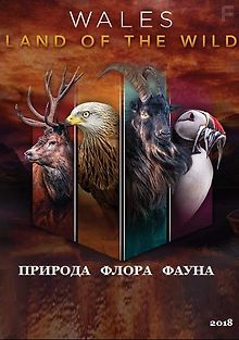 BBC: Дикий Уэльс