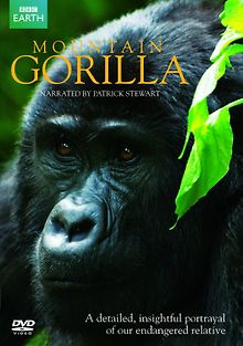 BBC: Горная горилла