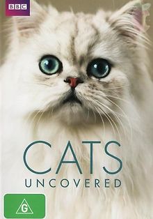 BBC. Кошачьи тайны