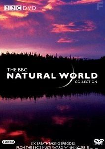 BBC: Мир природы. Чарующий остров Сулавеси