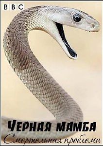 BBC: Мир природы. Черная мамба. Смертельная проблема