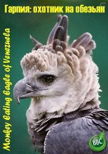 BBC: Мир природы. Гарпия охотник на обезьян