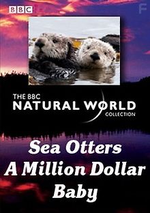 BBC: Мир природы. Каланы. Малышка на миллион