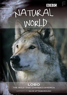 Лобо. Волк, который изменил Америку