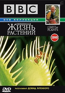 BBC: Невидимая жизнь растений