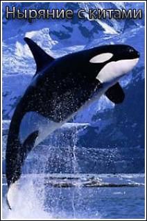 BBC. Ныряние с китами