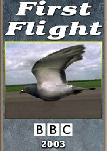 BBC. Первый полет