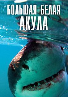 BBC: Плотоядные. Большая белая акула