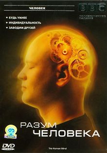 BBC: Разум человека