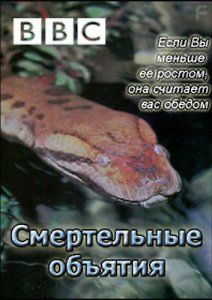 BBC: Смертельные объятия