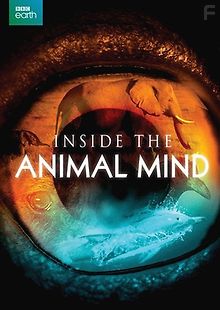 BBC. Животный интеллект