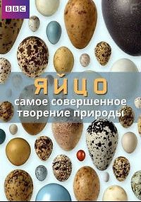BBC: Живой мир. Яйцо: самое совершенное творение природы