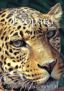 BBC. Жизнь животных: Леопард