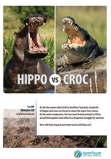 Бегемот против крокодила