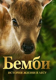Бемби. История жизни в лесу