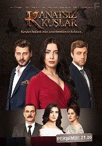 Бескрылые птицы