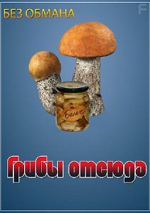 Без обмана - Грибы отсюда