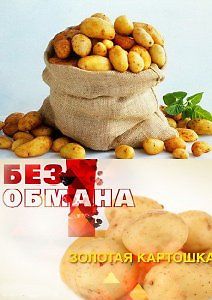 Без обмана - Золотая картошка