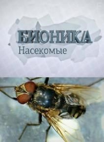 Бионика. Насекомые