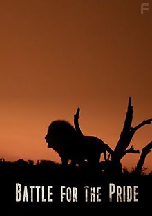 Битва за прайд