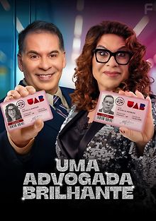 Блестящий адвокат